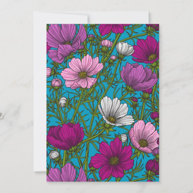 Mélange cosmos bleu (Devant)