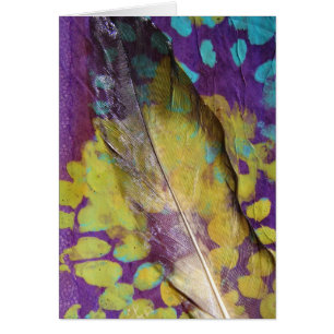 Mélange de plumes
