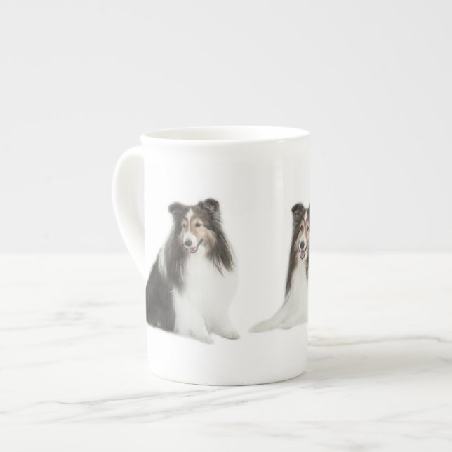 Mélange de Sheltie et tasse de match (Devant gauche)