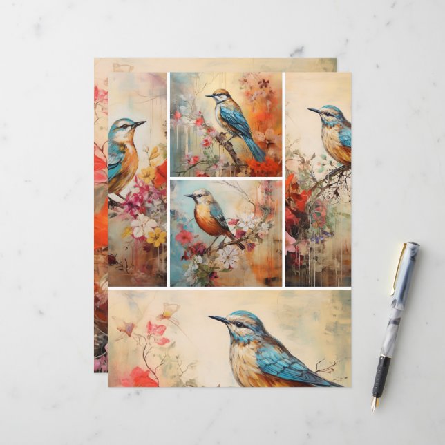 Mélange d'oiseaux bleus (Devant/Arrière en situation)