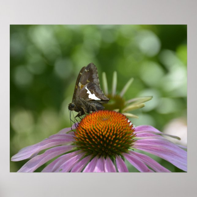 MÉLANGER LE POSTER (Devant)