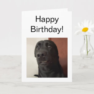 Mème de chien effrayé de carte pliée