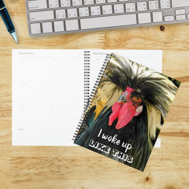 Mème de poulet aux cheveux mauvais drôle (In Situ)
