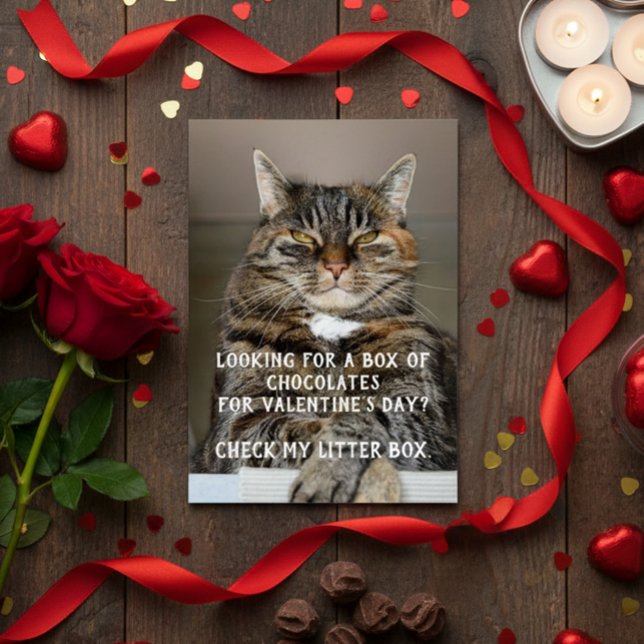 Mème drôle de chat pour la Saint-Valentin Anti-Sai (Créateur téléchargé)
