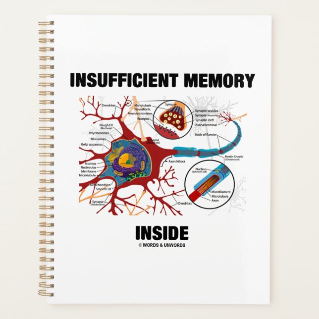 Mémoire insuffisante dans l'Humour Synapse du neur (Devant)