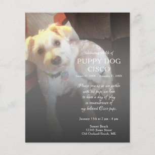 mémorial de photos du côté gauche