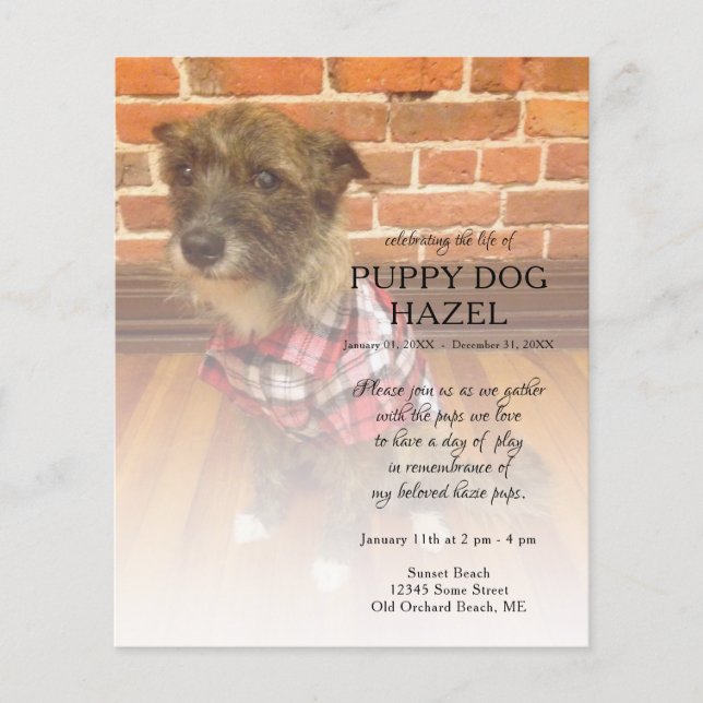 mémorial de photos du côté gauche (Devant)