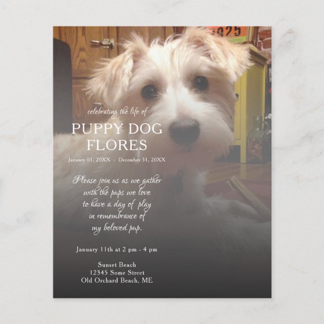 mémorial photo côté droit (Devant)