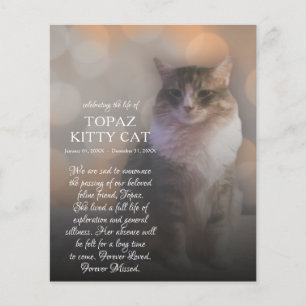 mémorial photo côté droit