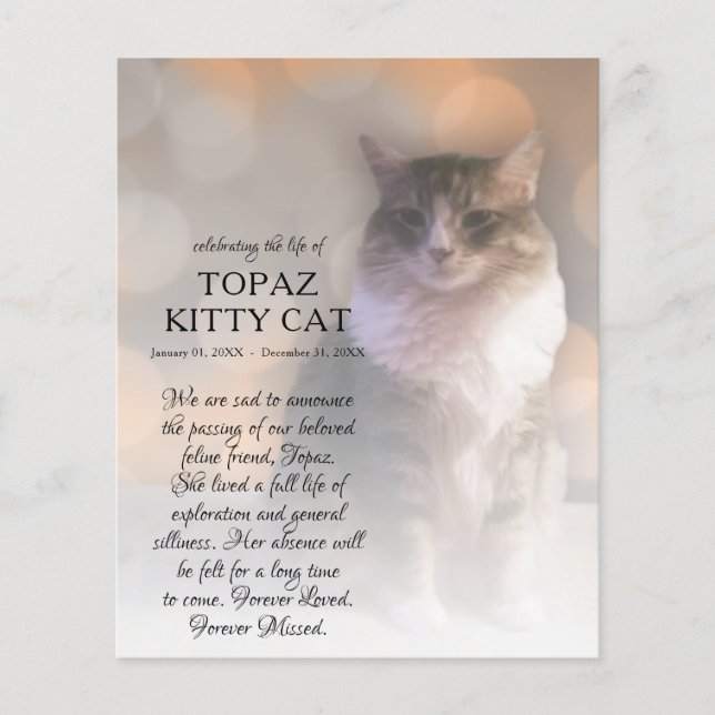 mémorial photo côté droit (Devant)