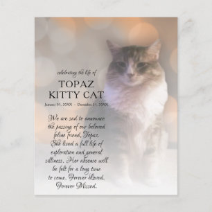 mémorial photo côté droit