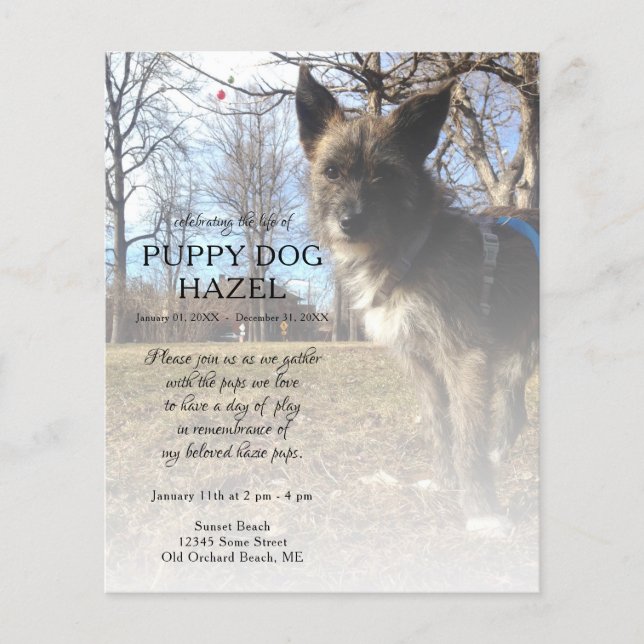 mémorial photo côté droit (Devant)