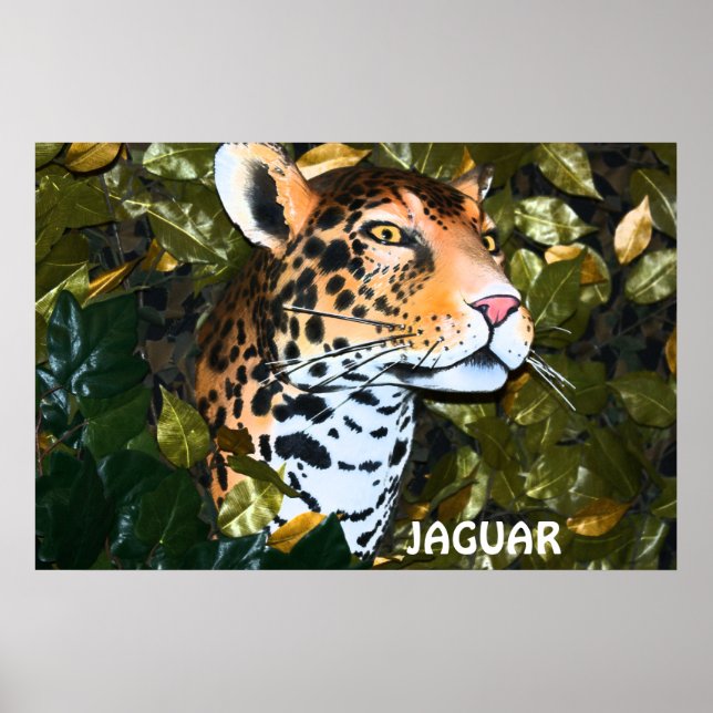 MENACER LE POSTER JAGUAR (Devant)