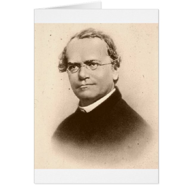 Mendel (Devant)