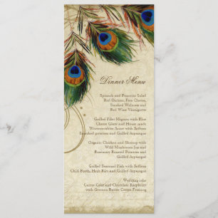 Menu assorti élégant de paon et de dîner de plume
