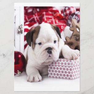 Menu Chien-chien anglais mignon Noël drôle
