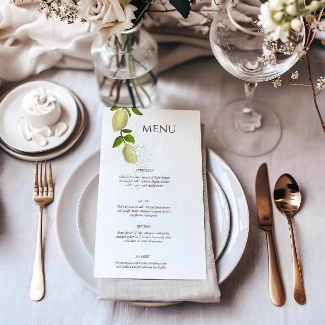 Menu Citrons peints au Citrus frais Méditerranéen Moder (Créateur téléchargé)