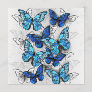 Menu Composition des White and Blue Butterflies