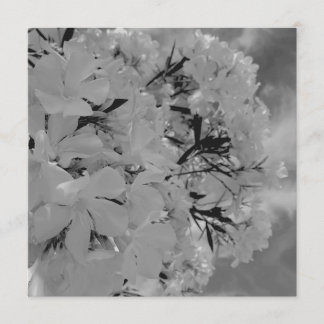 Menu floral drapé blanc