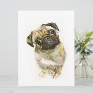 Menu Impression carlin face   Chien de Carlin mignon
