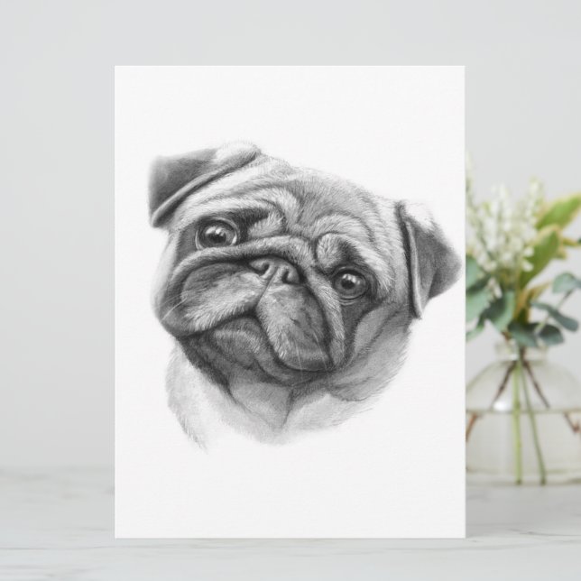 Menu Le portrait Carlin | Face de chien de Carlin migno (Debout devant)