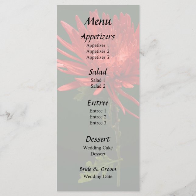 Menu Maman Araignée Rouge (Devant)