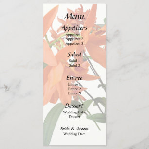 Menu Orchidée Epidendrum Orange