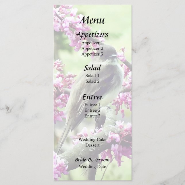 Menu Phoebe dans un arbre Redbud (Devant)