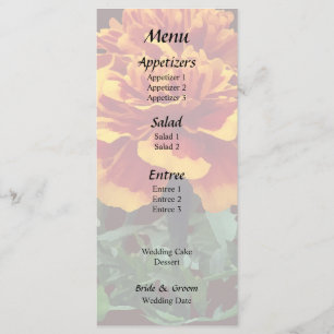 Menu Une Souci Orange avec des Pointes Jaunes