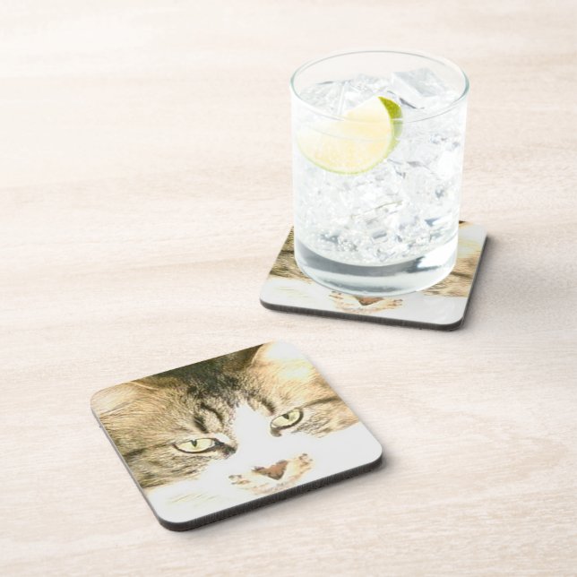 Meow Cats 14 Dessous de verre (Côté Droit)