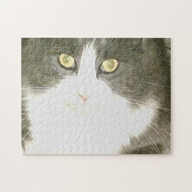 Meow Cats 18 Puzzle (Horizontal)
