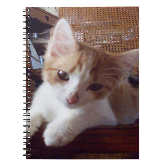 Meow Cats 22 Carnets (Devant)