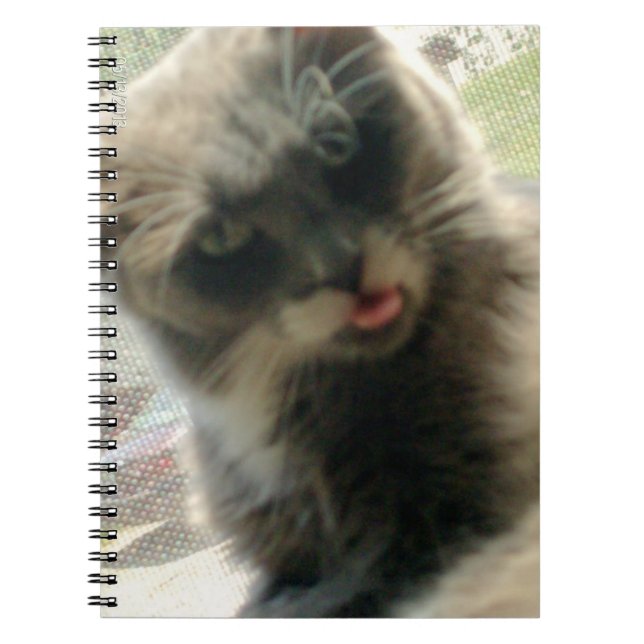 Meow Cats 2 Carnet (Devant)