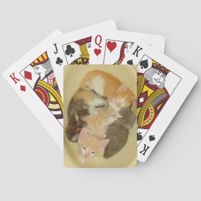 Meow Cats 4 Cartes De Jeu (dos)