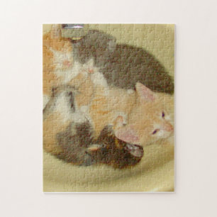 Meow Cats 4 Puzzle
