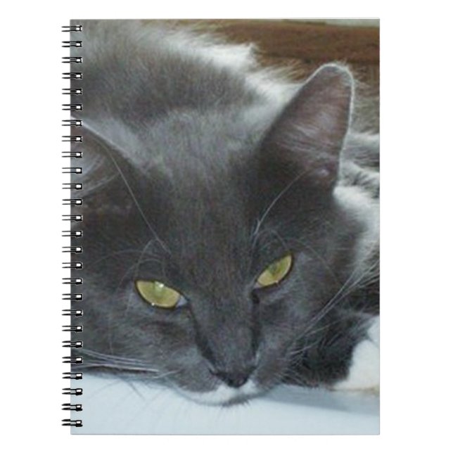 Meow Cats 8 Carnet (Devant)