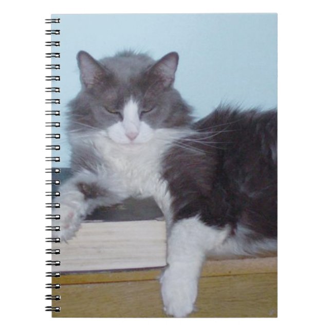Meow Cats 9 Carnet (Devant)