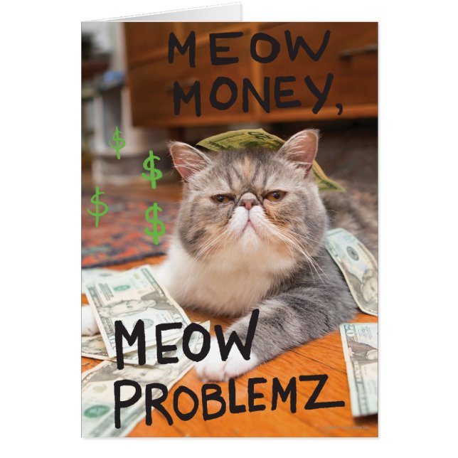 Meow Money, Meow Problemz (Devant)
