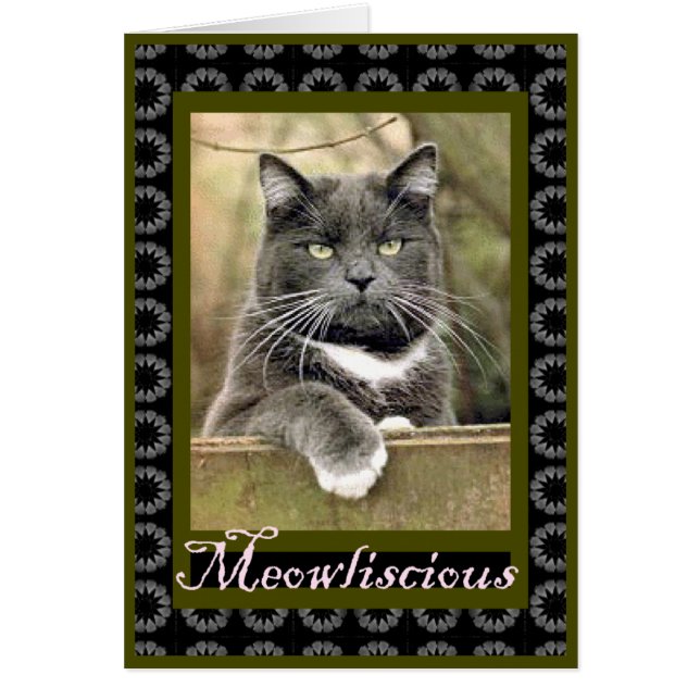 MeowlisciousCcard (Devant)