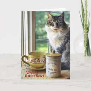 Cartes Humoristique Chat D Anniversaire Zazzle Fr