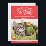 Meowy Christmas and a purrfect new year photo card<br><div class="desc">Ajoutez une touche amusante à vos salutations de saison avec cette carte de voeux adorable et personnalisable. La légende dit "Noël de la bière et une nouvelle année parfaite" en lettres modernes blanches décorées d'oreilles de chat et de flocons de neige.</div>