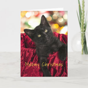 Meowy Christmas Black Kitten Carte de voeux de Noë