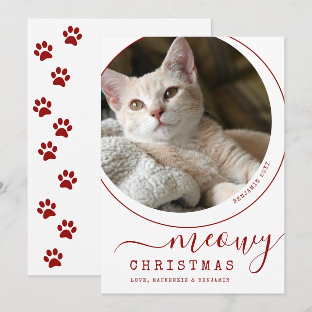 Meowy Christmas Chat Kitten Photo Blanc (Devant / Derrière)
