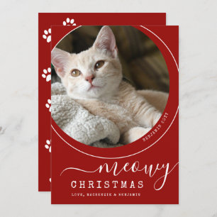 Meowy Christmas Chat Kitten Photo Rouge et blanc
