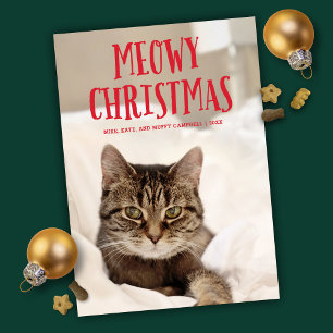 Meowy Christmas Cute Kitty Chat   Photo de vacance