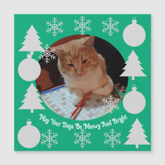 Meowy et lumineux, photo de chat, carte magnétique