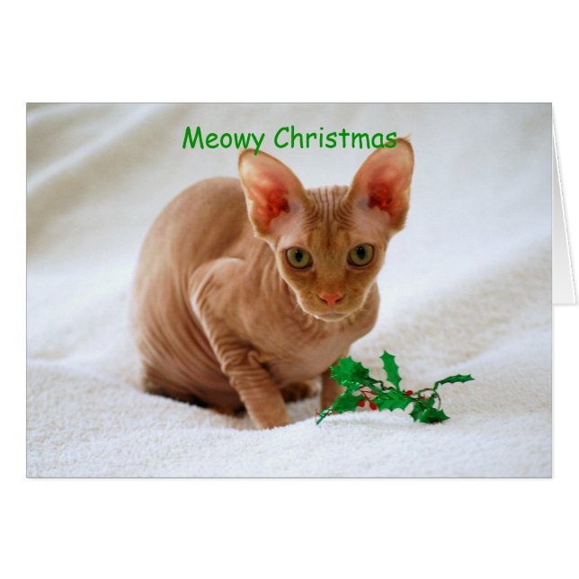 Meowy Noël Sphinx Chat (Devant horizontal)