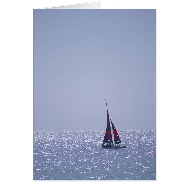 Mer 23 (Devant)