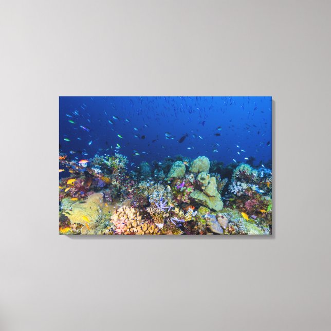 Mer de Corail - Poisson Tropical & récif - Toile E (Recto)