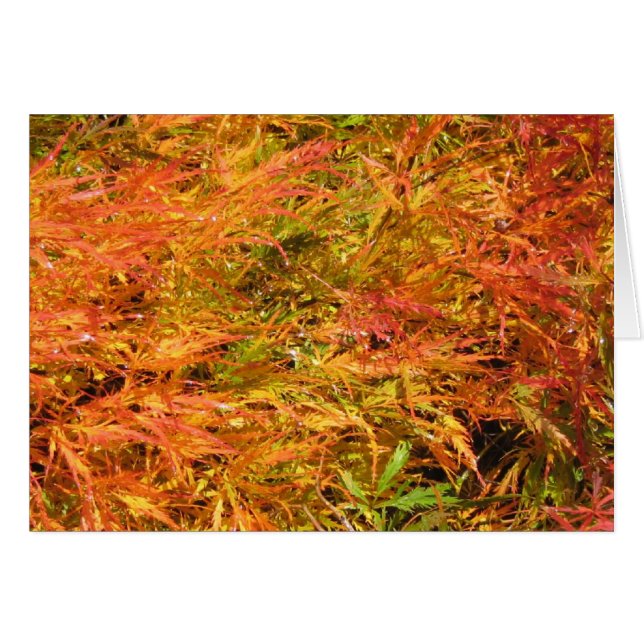 Mer de couleur d'automne (Devant horizontal)